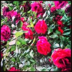 IMG_20140606_193506