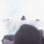 Avicii и други линкове avicii